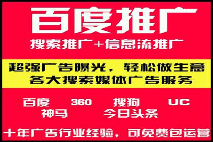 案例分析：SEM广告助力电商行业突破